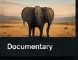 Documentary